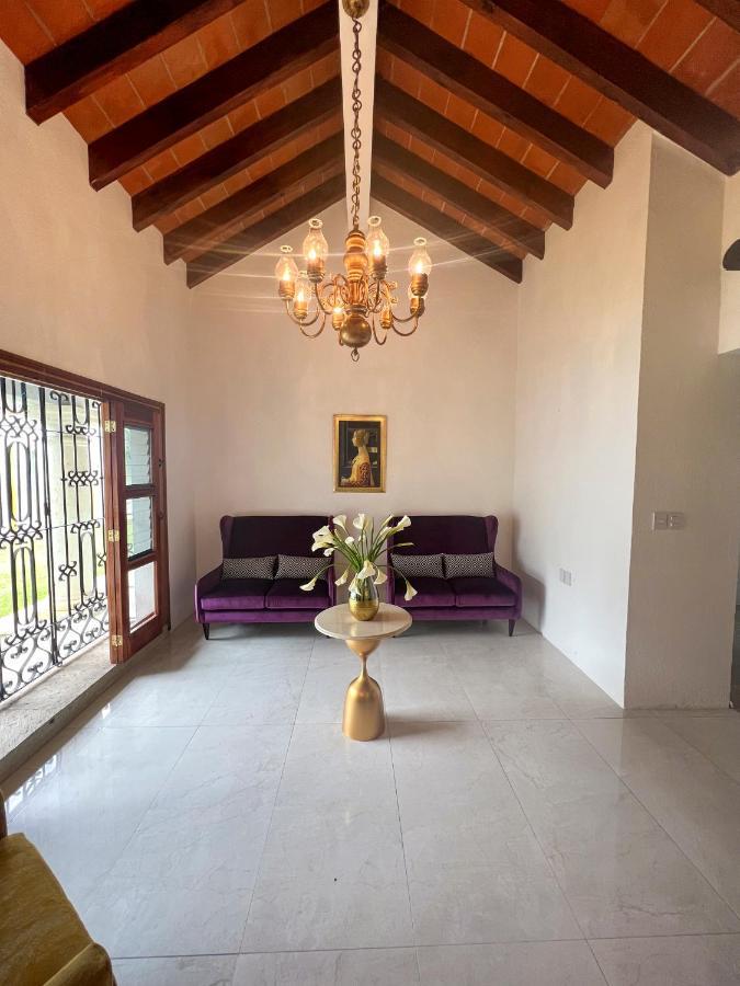 Oaxaca Villa Borghese Hotel Boutique - Adults Only מראה חיצוני תמונה