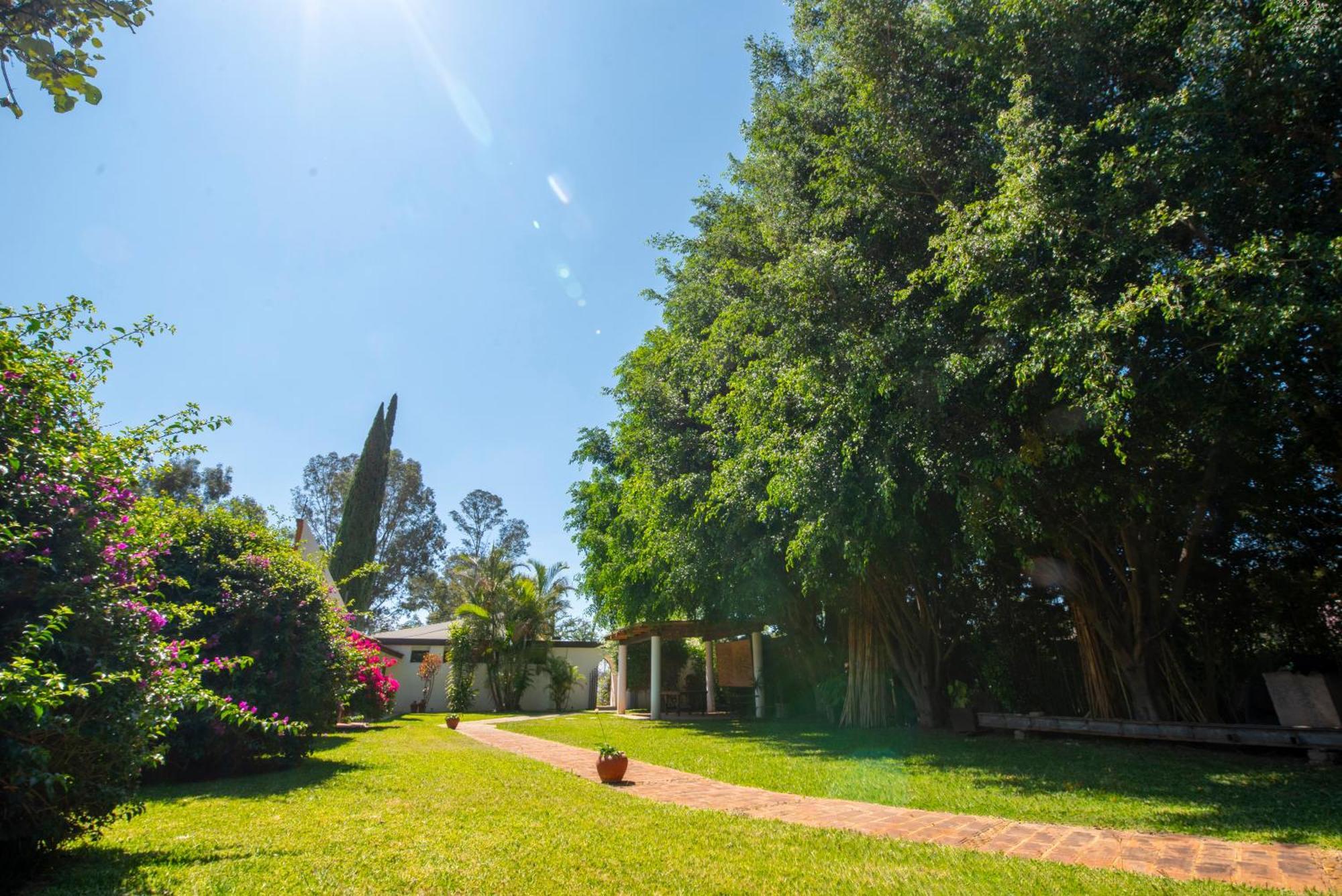 Oaxaca Villa Borghese Hotel Boutique - Adults Only מראה חיצוני תמונה
