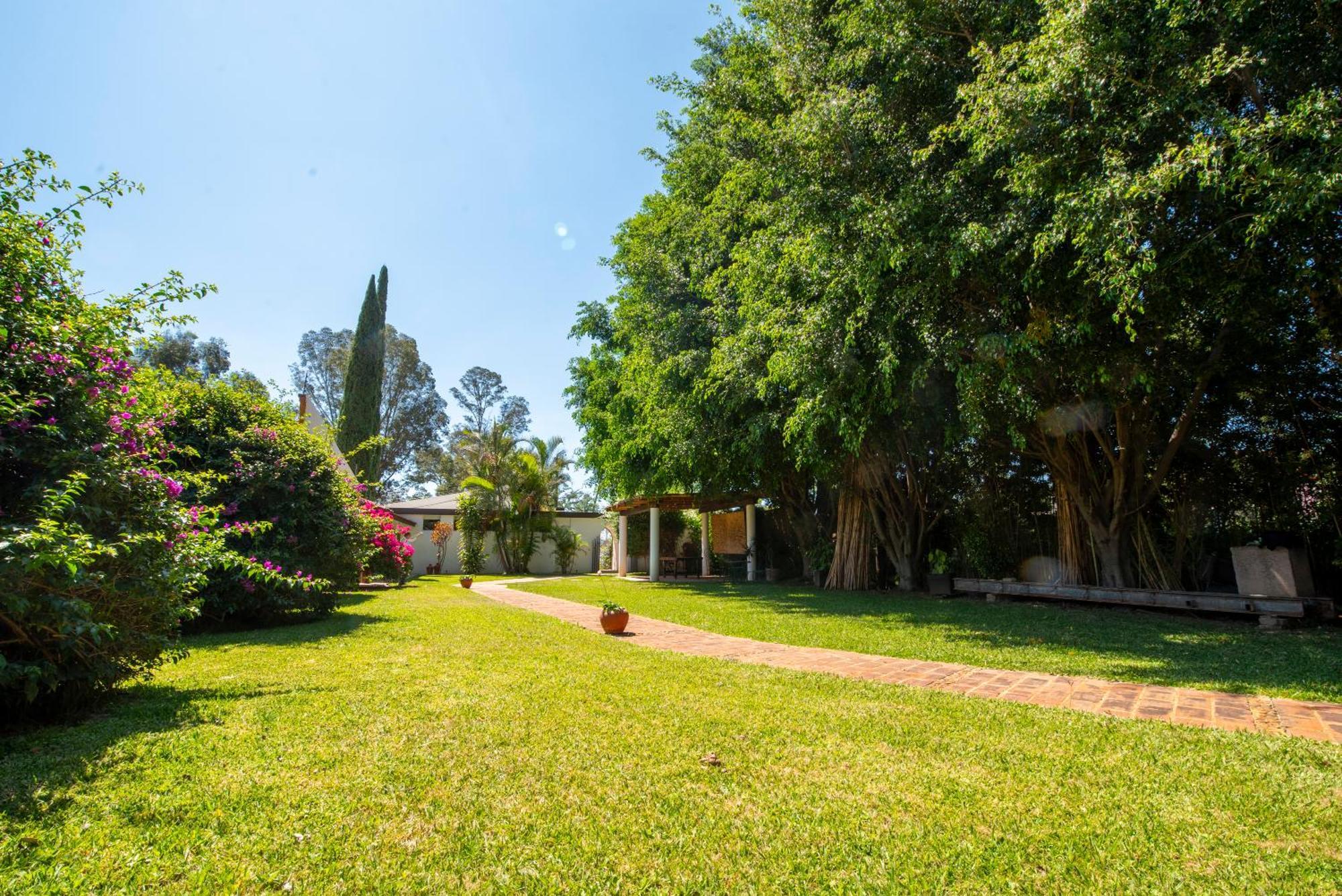 Oaxaca Villa Borghese Hotel Boutique - Adults Only מראה חיצוני תמונה